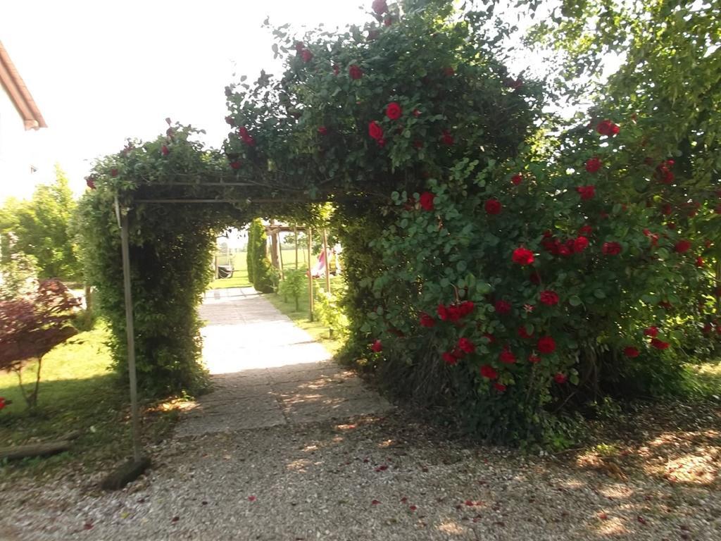 Agriturismo La Prateria Gazzo  Экстерьер фото