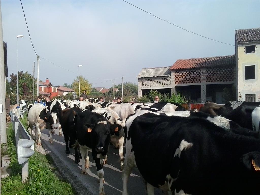 Agriturismo La Prateria Gazzo  Экстерьер фото